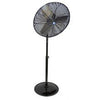 30 Pedestal Fan