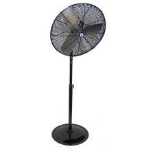 30 Pedestal Fan