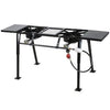 26 LP Double Cooking Stove