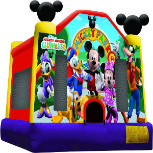 15’x15′ Mickey Park