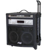 Karaoke System with Monitor